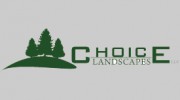 Choice Landscapes