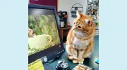 Spring Green Animal Hospital