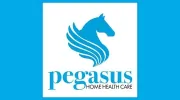 Pegasus Home Health Care