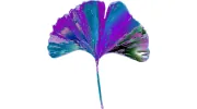 Rippling Waters Counseling