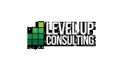 Level Up Consulting