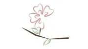 Apple Blossom Dentistry