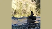 Chinn Qigong & Acupuncture