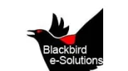 Blackbird e-Solutions