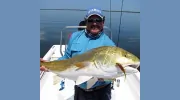 Fineline Fishing Charters