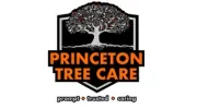 Princeton Tree Care