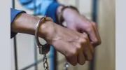 Golden Bear Bail Bonds