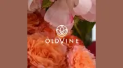 Oldvine Florals
