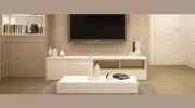 Washburn RE