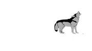 Badlands Environmental Consultants