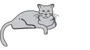 The Cat's Meow Veterinary Hospital