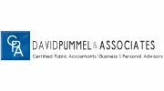 David Pummel & Associates