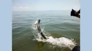 Georgia Sport Fishing Charters