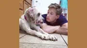 Advanced Veterinary
