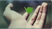 Pomarri Drug Rehab & Addiction Center