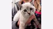 Parktown Veterinary Clinic