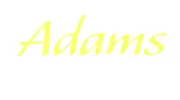 Adams Auto Service