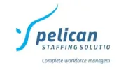 Pelican Staffing Solutions