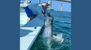 Captain Matt Santiago Fishing Charters