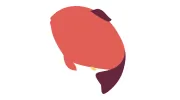 fishbat