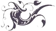 Joy Vernon Astrology * Tarot * Reiki