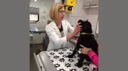 PetVets on the Go
