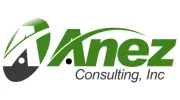 Anez Consulting