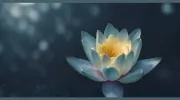 Advaita Meditation Center