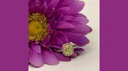 Jensen Jewelers