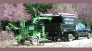 American Tree Service