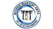 Bushin Martial Arts Academy Of Richmond