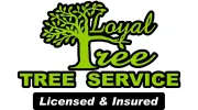 Loyal Tree Tree Services