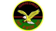 Soaring Eagles