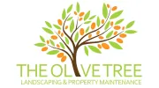 Olive Tree