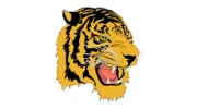 Tiger Taekwondo Academy