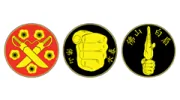 Chong's Wing Chun & Bak Mei Kung Fu Association