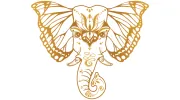 Kimimi Healing Arts