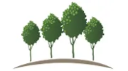 City of Trees Realty