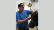 Carson County Veterinary Clinic