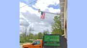 Davis Tree Care