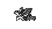 All Star Limousine
