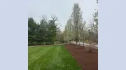 Lima's Landscaping & Irrigation