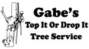 Gabe's Top It Or Drop It Tree Service