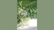 Kelly Karli Weddings & Events