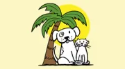 Volusia Woods Animal Clinic