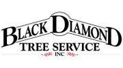 Black Diamond Tree Service