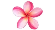Kauai Island Weddings