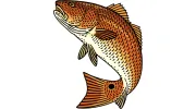 Captain Randy's Guide Service