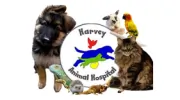 Harvey Animal Hospital