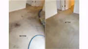 Islands Carpet Cleaner